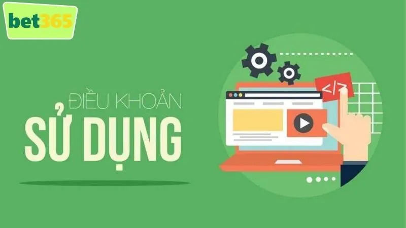 Điều Khoản Sử Dụng - Những Điều Bạn Sẽ Cần Biết Khi Tham Gia 3 Trách nhiệm và quyền lợi