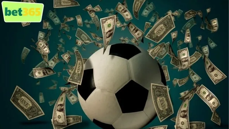 Thể Thao Bet365 - Trải Nghiệm Cược Đỉnh Cao Không Ở Đâu Có 1 Những ưu điểm nổi bật khi chơi cá cược tại Thể Thao Bet365